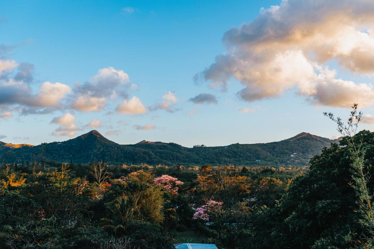 Los Mandarinos Boutique Hotel & Spa エル・バジェ・デ・アントン エクステリア 写真
